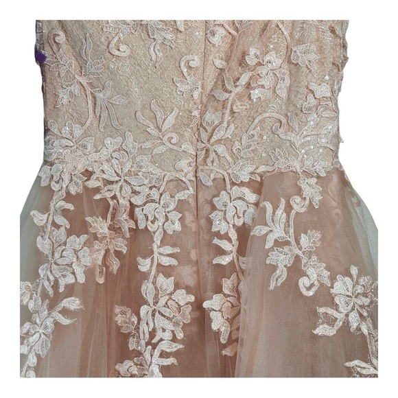 Abby Paris Longs by Lucci Lu Lace Gown with Tulle Overskirt in Blush NWT - Picture 11 of 12